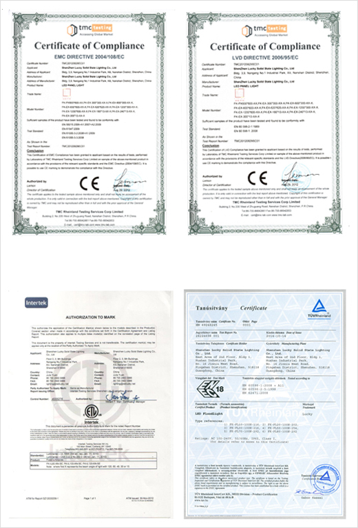 ZSIMC LED Lighting Certificate 01